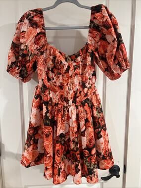 NWT Buddy Love Corset Flirty Fun Floral Roses RED Dress Small